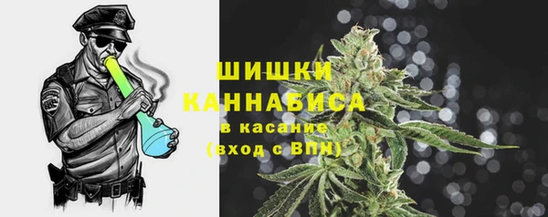 винт Касимов