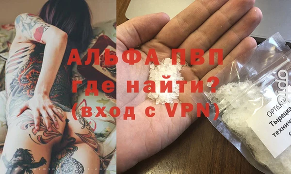 ГАЛЛЮЦИНОГЕННЫЕ ГРИБЫ Карталы