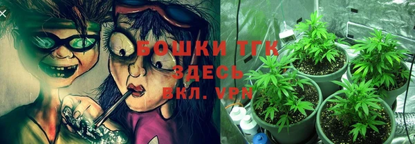 винт Касимов
