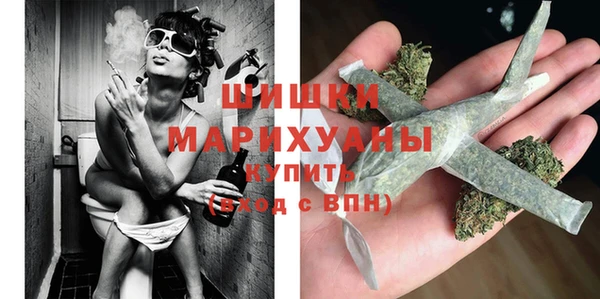 ГАЛЛЮЦИНОГЕННЫЕ ГРИБЫ Карталы